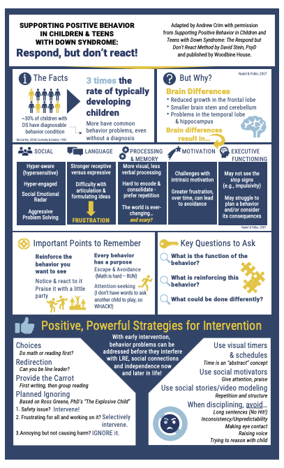 Supporting Positive Behavior InfoGraphic Thumbnail