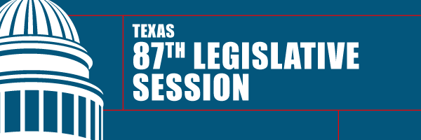 87th legislative session