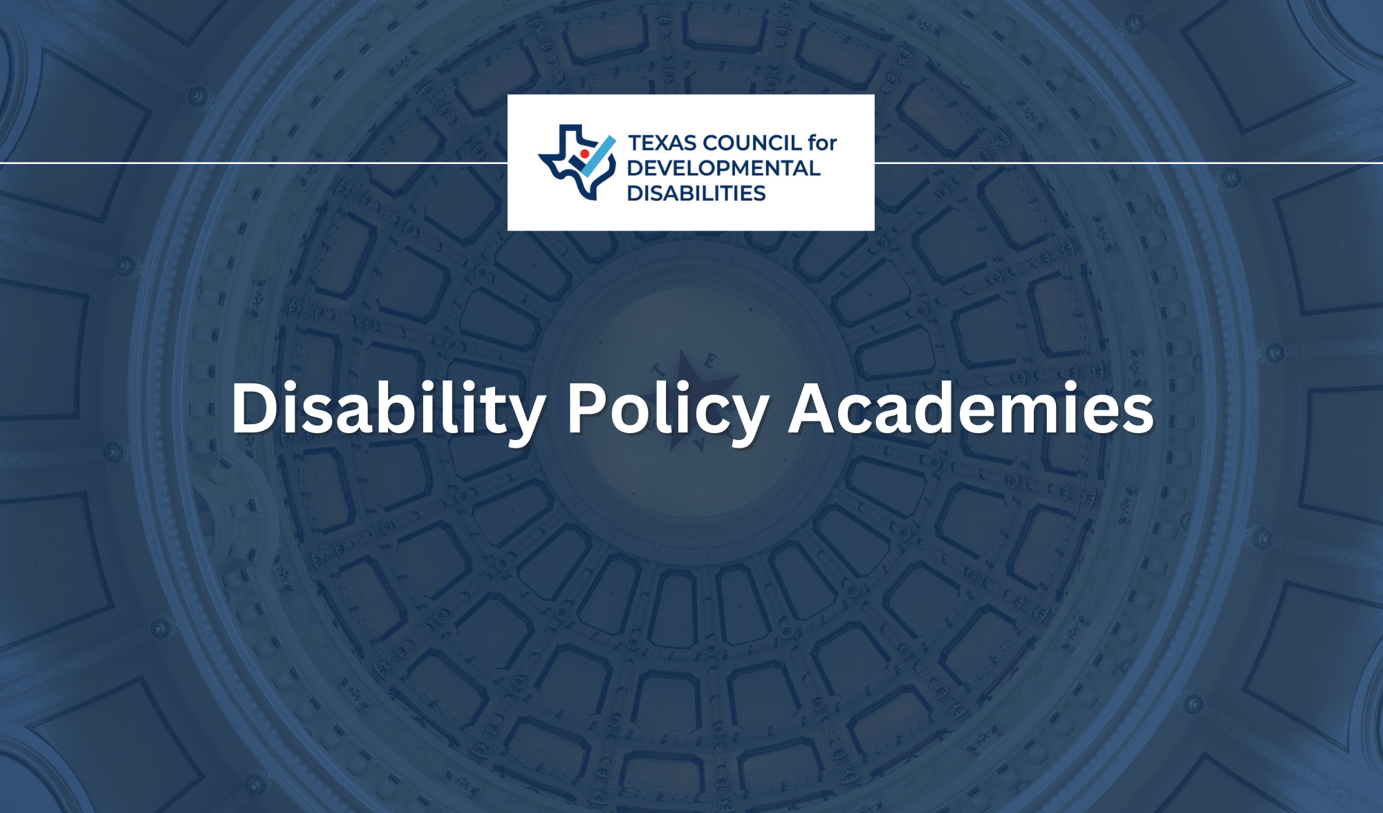 Disability Policy Academies