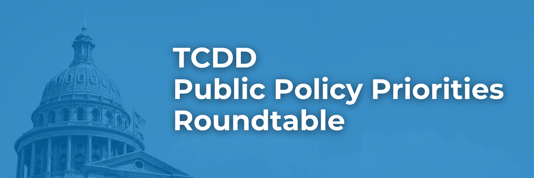 TCDD Public Policy Priorities Roundtable