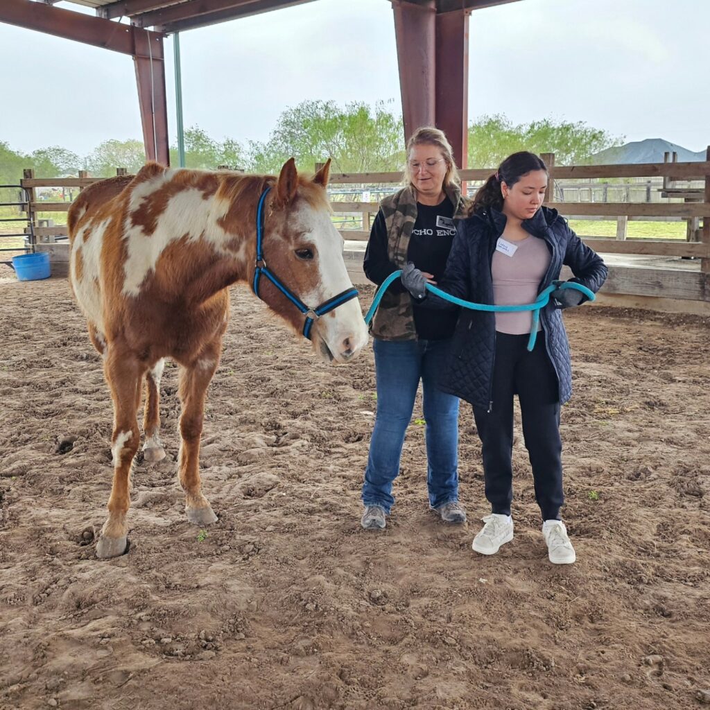 A training participant leads a horse with help from a staff member at Rancho Encino Life Skills in Brownsville.