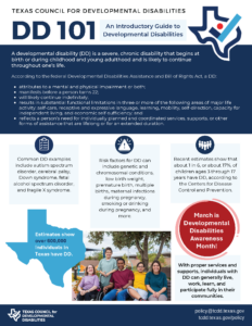 First page of the DD 101 One-Pager