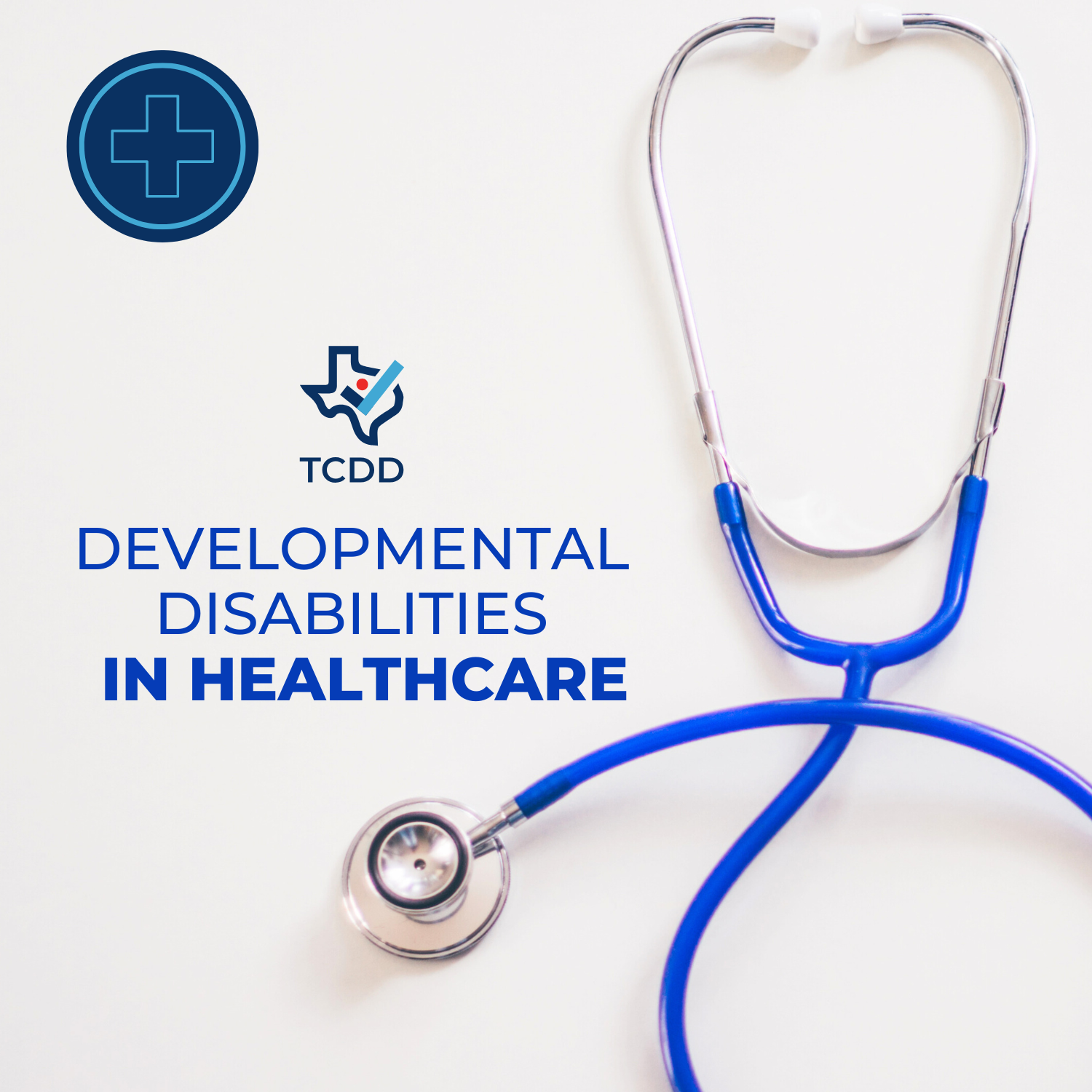 Developmental Disabilities in Healthcare